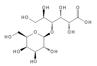 Kemisk Struktur af Lactobionic Acid | PUCA - PURE & CARE